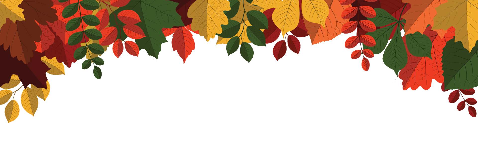 Fall Convocation leaves