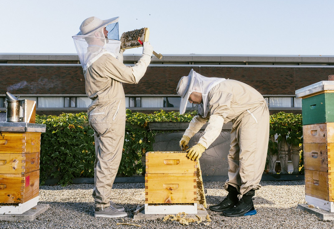 Two people in beekeeping suits and hats inspect a beehive.