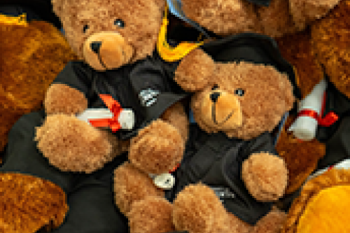 A pile of teddy bears in caps and gowns
