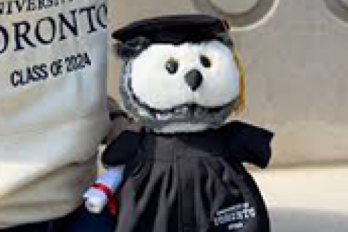 A stuffed plush owl toy in graduation gown and cap