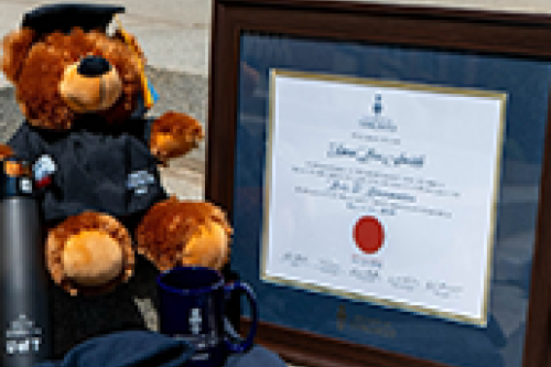 A grad teddy bear and a diploma frame.