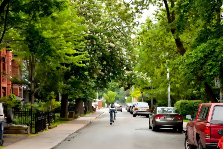 a person rides their bike on a neighbourhood street