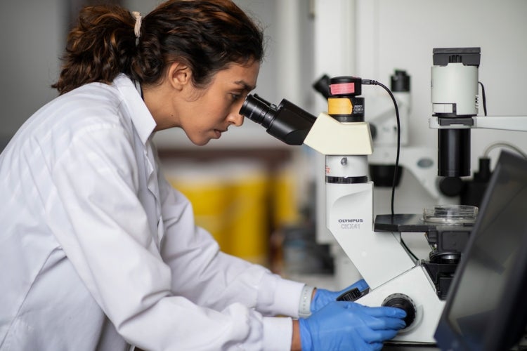 a woman looks through a microscope in a university of toronto lab