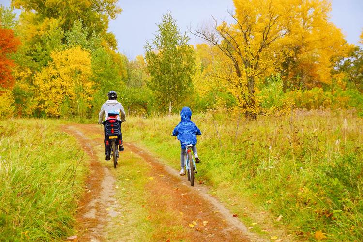 Father takes his two children cycling through a forest trail