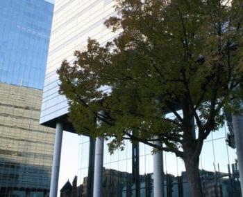 Leslie Dan Faculty of Pharmacy building