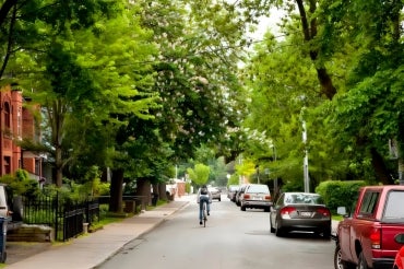 a person rides their bike on a neighbourhood street