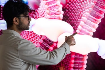 a man points at a biomedical illustration projected on a wall