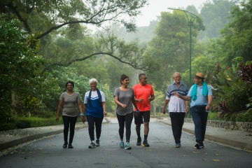 south asian senior citizens walking in a park