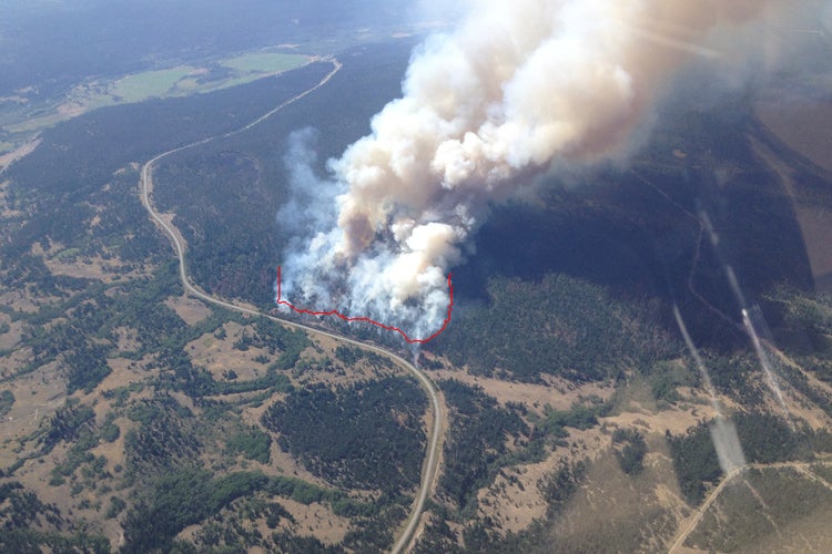 aerial view of forest fire 